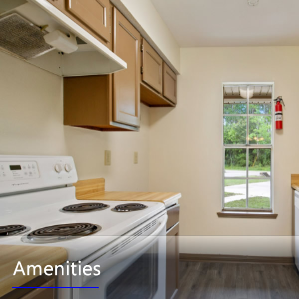 Features and Amenities